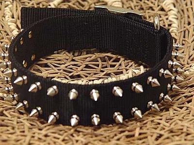spiked Doberman collar