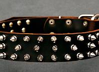 Doberman collar