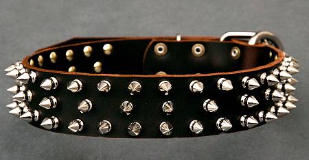 Doberman collar