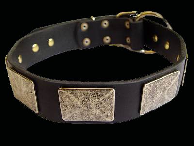 Gorgeous War Dog Leather Dog Collar - Like in the movies