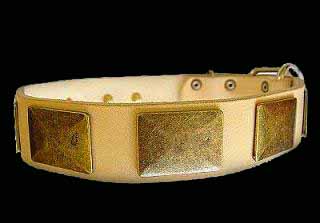 Doberman War Dog Leather Dog Collar - Like in the movies