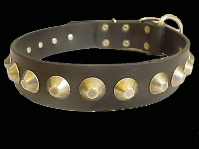Gorgeous War Dog Leather Dog Collar - Like in the movies