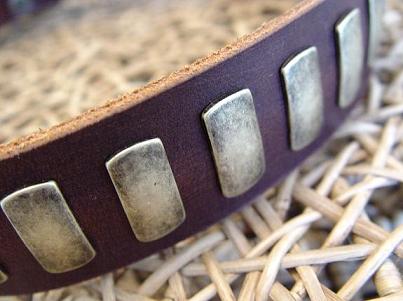 Doberman pinscher dog collar