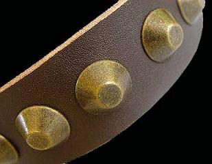 Doberman dog collar