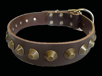 Doberman collar