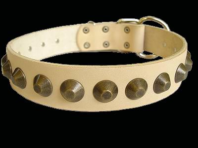 leather dog collar for Doberman