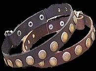 Doberman collar