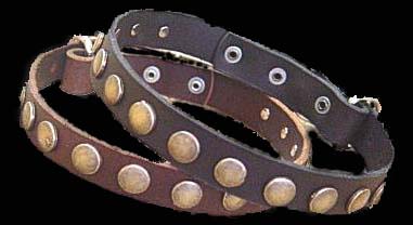 Doberman collar