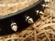 Spiked Doberman collar