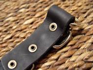 Spiked Doberman collar