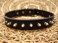 Spiked Doberman collar