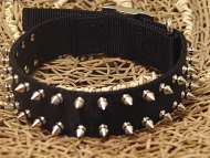 Doberman collar