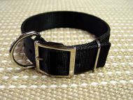 dog collar