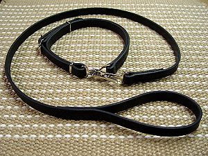 Police dog leash and collar (combo) for Doberman